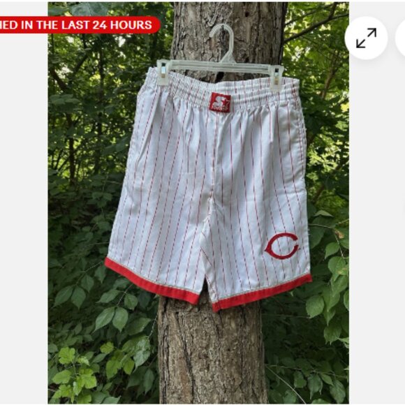 VTG Starter Cincinnati Reds 90s MLB PinStriped Shorts Mens Large White RARE - Picture 1 of 5